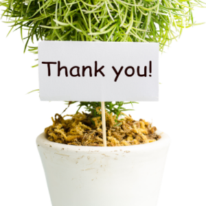 A Little Thank You Plant